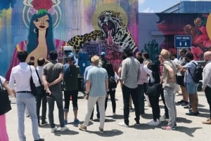 Miami: Wynwood Arts District Walking Tour