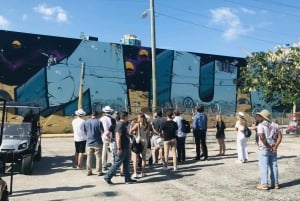 Miami: Wynwood Arts District Walking Tour
