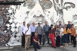 Miami: Wynwood Arts District Walking Tour