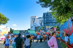 Miami: Wynwood Delicious Donut Tour & Street Art Experience