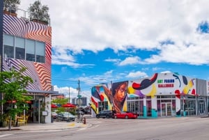 Miami: Wynwood Delicious Donut Tour & Street Art Experience