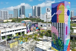 Miami: tour del carrello da golf della Wynwood Graffiti Brewery