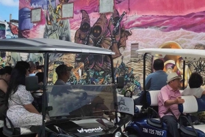 Miami: Wynwood Graffiti Brewery Golf Cart Tour