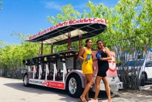 Miami: tour de bares en bicicleta de fiesta por Wynwood