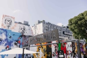 Miami : Visite à pied de Wynwood