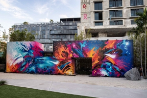 Miami: Wynwood Walls Early Access Skip-the-Line Tour