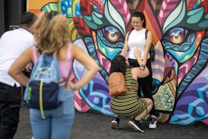 Miami: Wynwood Walls VIP Tour with Skip-the-Line Ticket