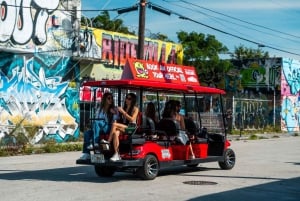 Miami: Entrada a los Muros de Wynwood y Experiencia Vecinal en Buggy