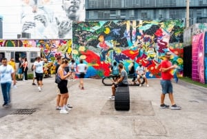 Miami: Inngangsbillett til Wynwood Walls