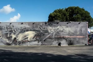 Miami: Biglietto d'ingresso per le Mura di Wynwood