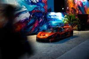 Miami: Wynwood Walls Toegangsbewijs