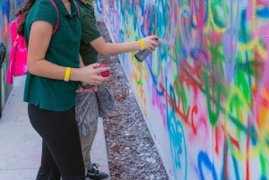 Miami: Wynwood Walls Freestyle Spray Painting & Admission