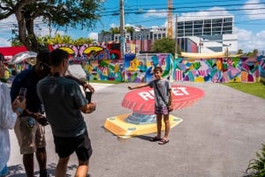 Miami: Wynwood Walls Museum Freestyle Spray Painting & Entry