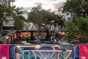 Miami: Wynwood Walls Museum Freestyle Spray Painting & Entry