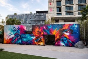 Miami: Wynwood Walls: ingresso sem fila