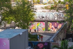 Miami: Wynwood Walls Ticket de entrada sin colas