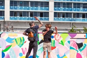 Miami: Wynwood Walls Ticket de entrada sin colas