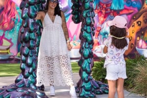 Miami: Wynwood Walls Ticket de entrada sin colas