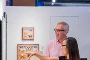 Miami: Wynwood Walls Ticket de entrada sin colas