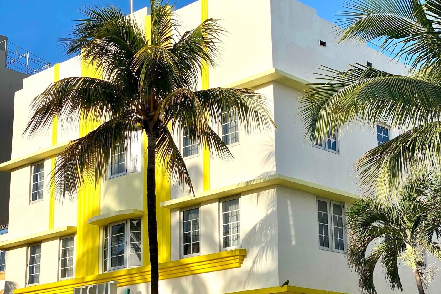 Os 3 bairros icônicos de Miami em 3,5h - em francês