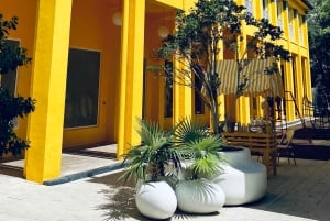 Os 3 bairros icônicos de Miami em 3,5h - em francês