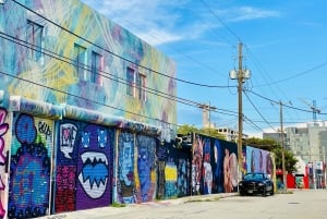 Os 3 bairros icônicos de Miami em 3,5h - em francês