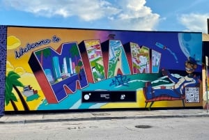 Os 3 bairros icônicos de Miami em 3,5h - em francês