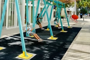 Os 3 bairros icônicos de Miami em 3,5h - em francês