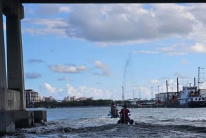 Il tour definitivo in moto d'acqua e barca a Miami