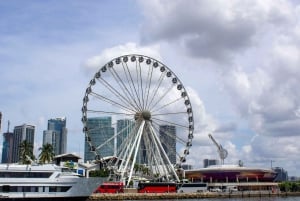 Il tour definitivo in moto d'acqua e barca a Miami