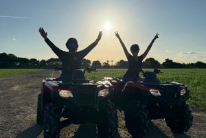 マイアミで究極の四輪バギーアドベンチャー（乗客＆安全器具無料）