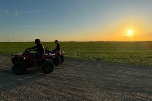 マイアミで究極の四輪バギーアドベンチャー（乗客＆安全器具無料）