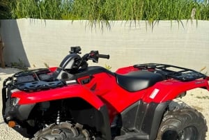 マイアミで究極の四輪バギーアドベンチャー（乗客＆安全器具無料）