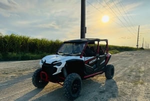 L'ultime aventure en buggy à Miami sur un Honda Talon UTV