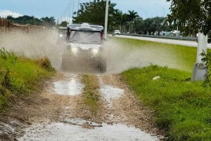 L'ultime aventure en buggy à Miami sur un Honda Talon UTV