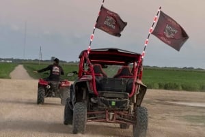 L'ultime aventure en buggy à Miami sur un Honda Talon UTV