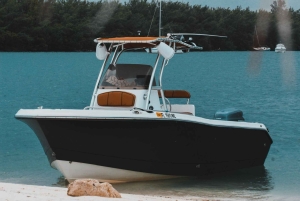 El Único Recorrido Privado en Barco de Miami: Descubre y Disfruta a tu Manera