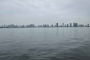 El Único Recorrido Privado en Barco de Miami: Descubre y Disfruta a tu Manera