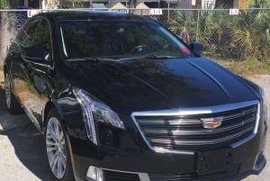 Naples, FL: Private Transfer to Miami International Airport