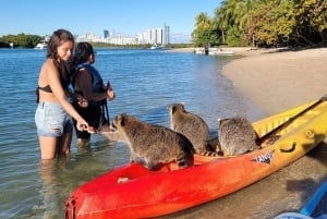 North Nature & Island Exploration on SUP/Kayak