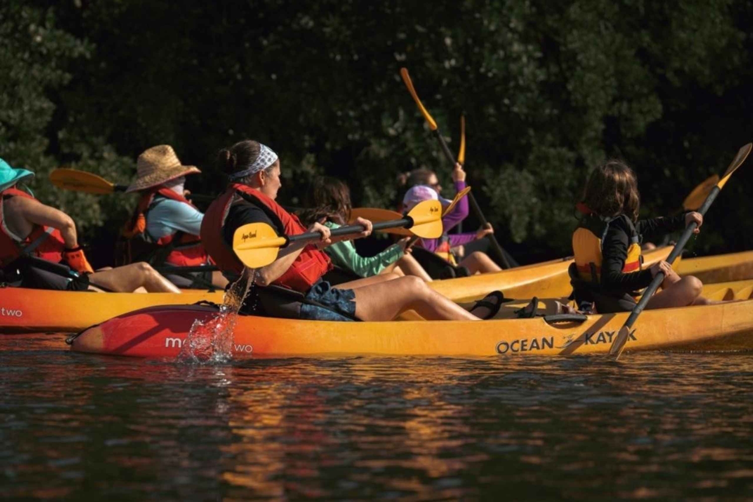 Parc d'État de la rivière Oleta : Excursion en Eco Kayak ou Paddleboard