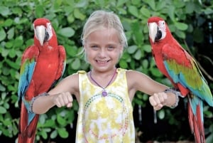 Orlando: All-Inclusive Pass with Kennedy Space Center