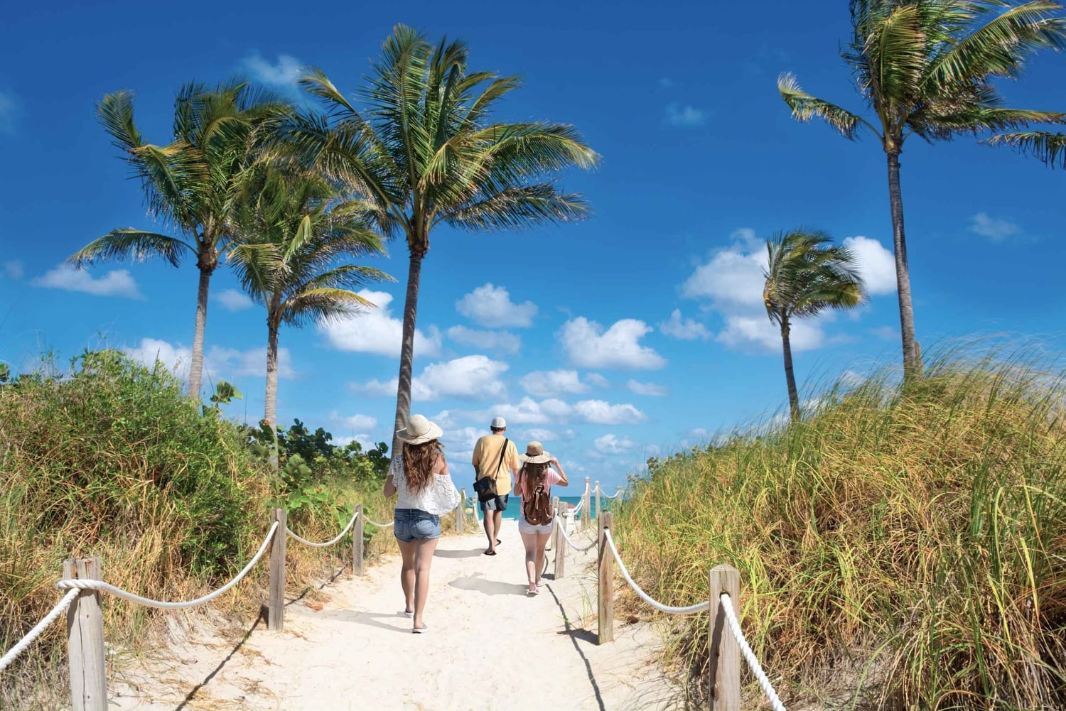 Lanzadera de Orlando a Miami: Viaje de ida