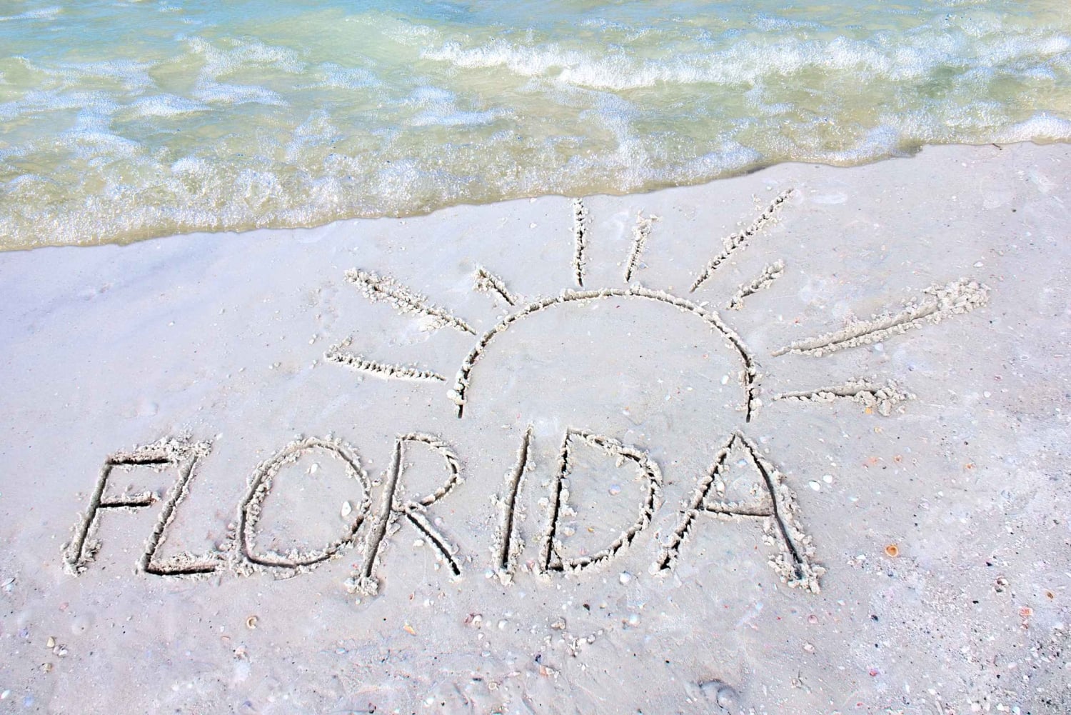 Lanzadera de Orlando a Miami: Viaje de ida