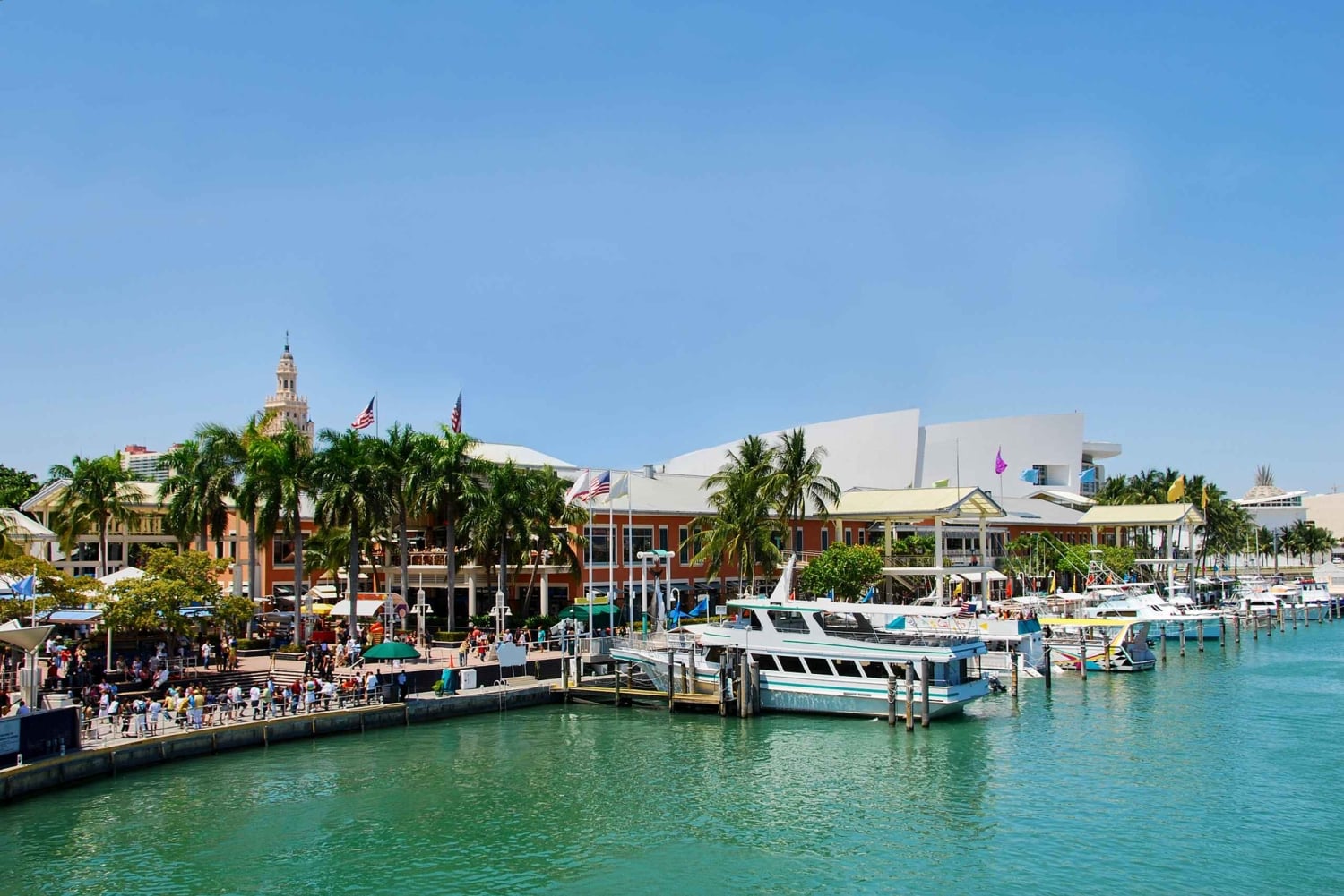 Lanzadera de Orlando a Miami: Viaje de ida