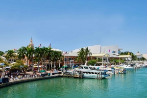 Lanzadera de Orlando a Miami: Viaje de ida