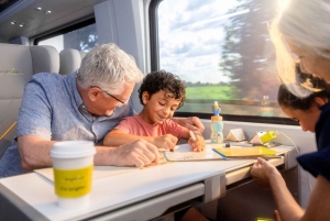 Orlando: Traslado en tren a Miami