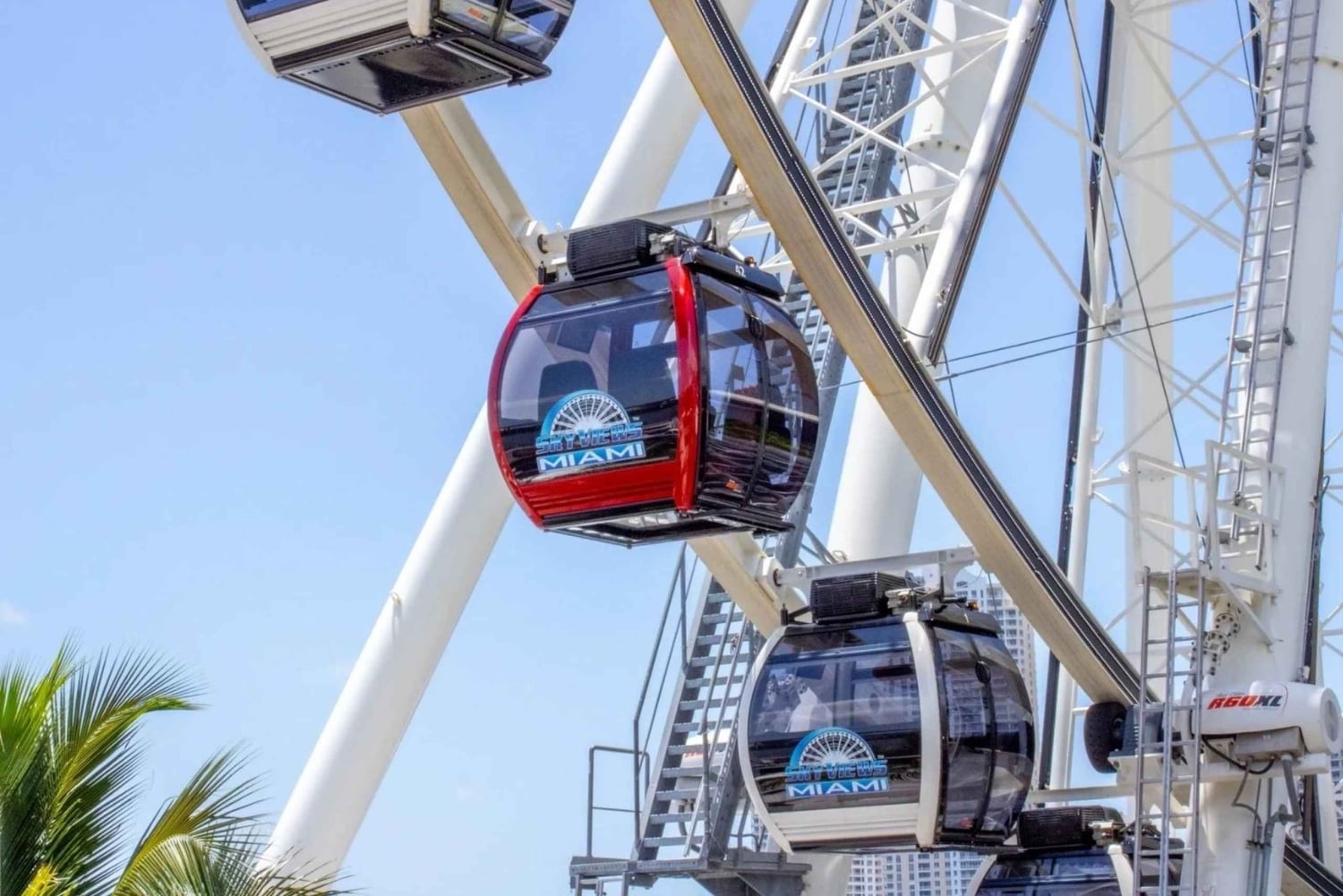 Passin Miami: 30+ attraktioner, eSIM och 1-vägs flygtransfer