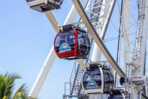 Passin Miami: 30+ attraktioner, eSIM och 1-vägs flygtransfer