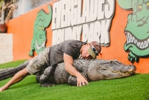 Passin Miami: 30+ attraktioner, eSIM och 1-vägs flygtransfer